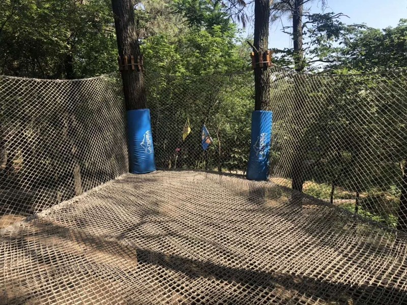 樹林魔網(wǎng)