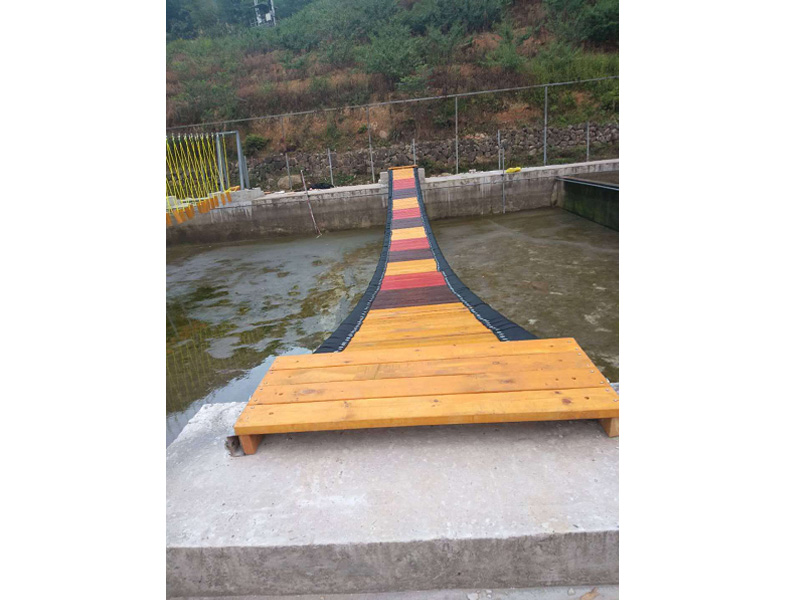 水上網(wǎng)紅橋